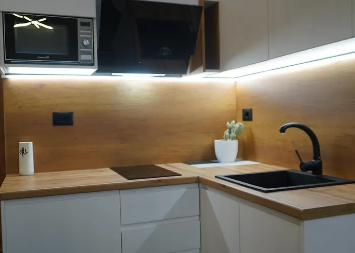 Daily Rent Apartman Tirana